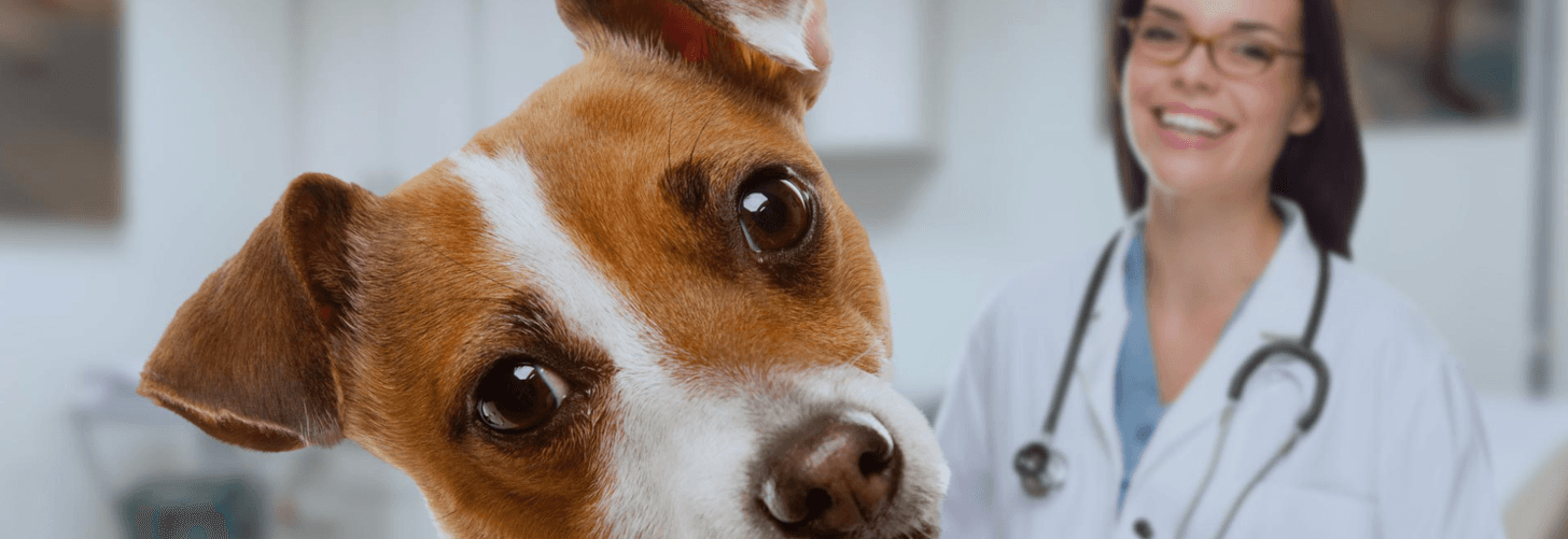 Η ιστορία μας